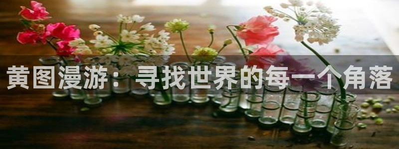 78动漫正版官网入口：黄图漫游：寻找世界的每一个角落