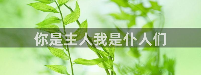 78动漫打不开了：你是主人我是仆人们