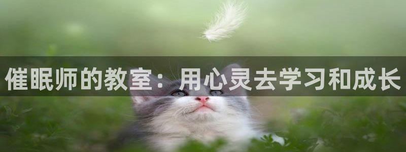 78动漫下载：催眠师的教室：用心灵去学习和成长