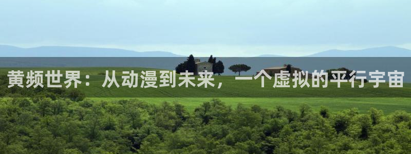 78动漫玩具网：黄频世界：从动漫到未来，一个虚拟的平行宇宙