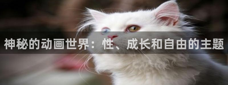 178动漫之家官网：神秘的动画世界：性、成长和自由的主题