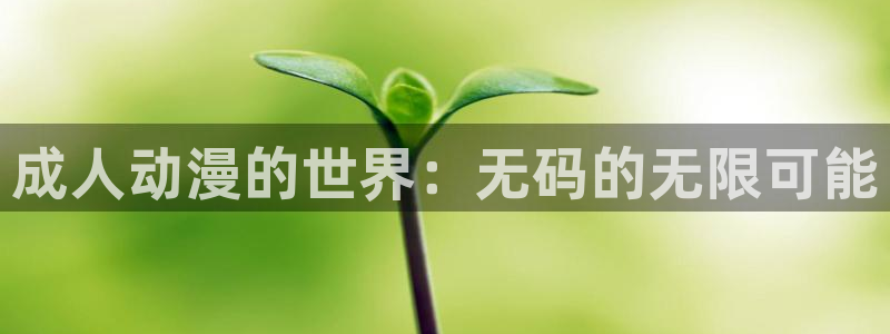 朝戈78动漫短剧：成人动漫的世界：无码的无限可能